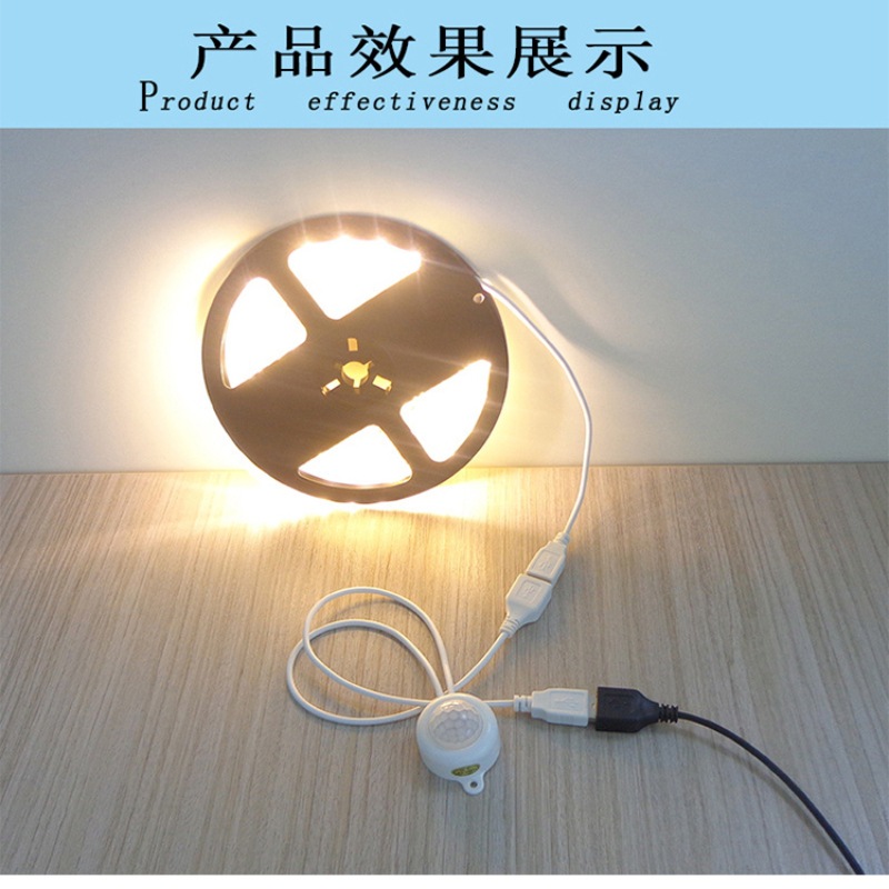 TDL-2025 Hot-selling alarm PIR Motion Sensor Switches Energy Saving Wired Lighting product 12V connect LED tape lights Popular